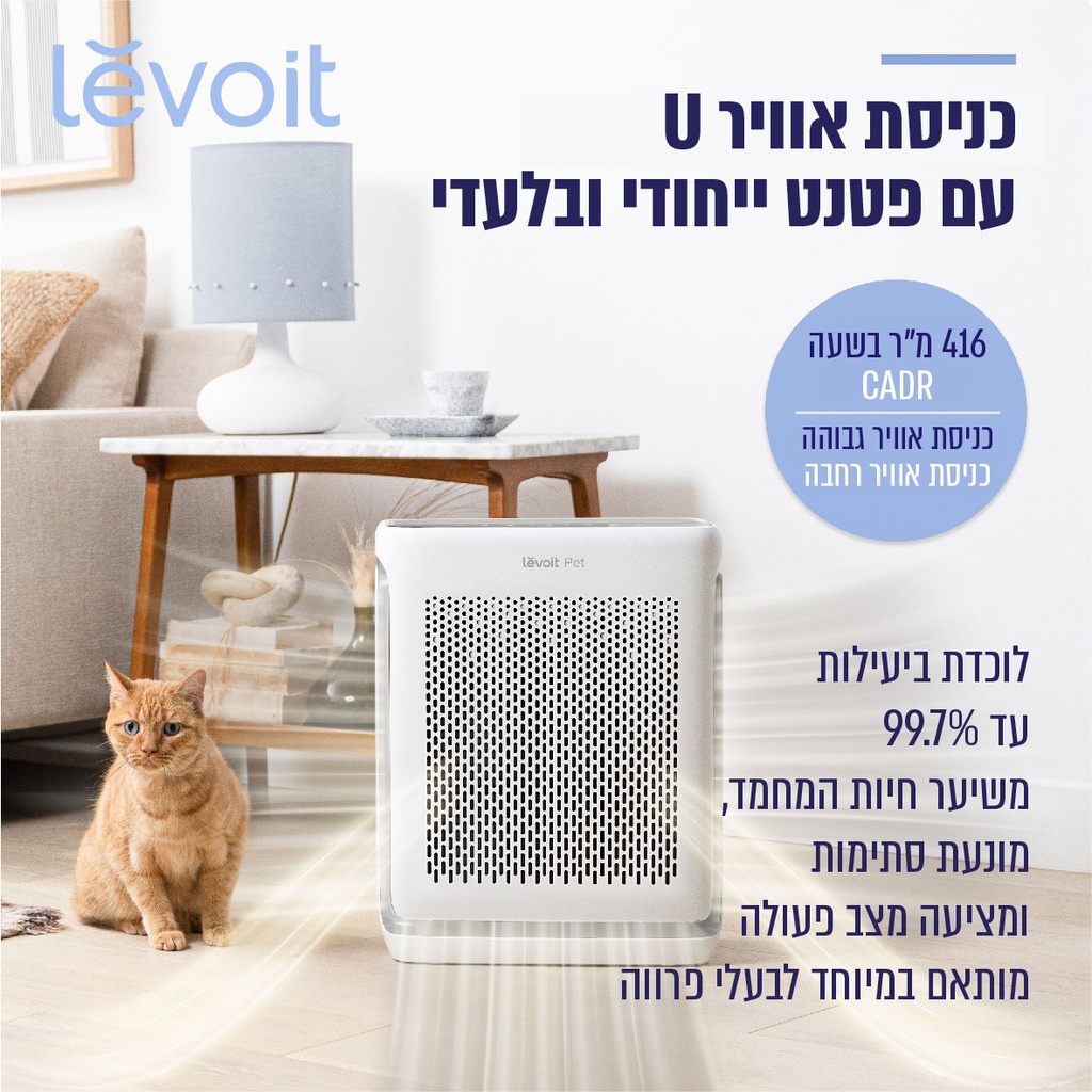 תמונה 2