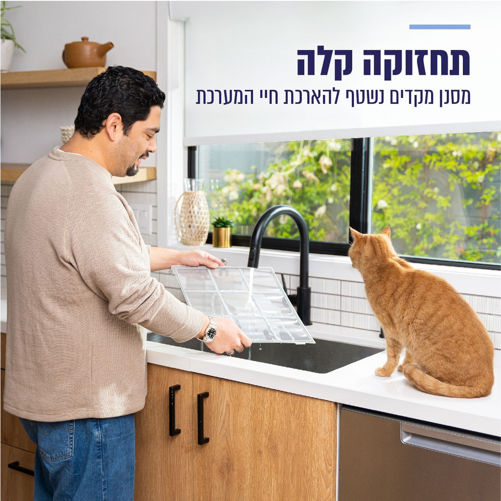 תמונה 6