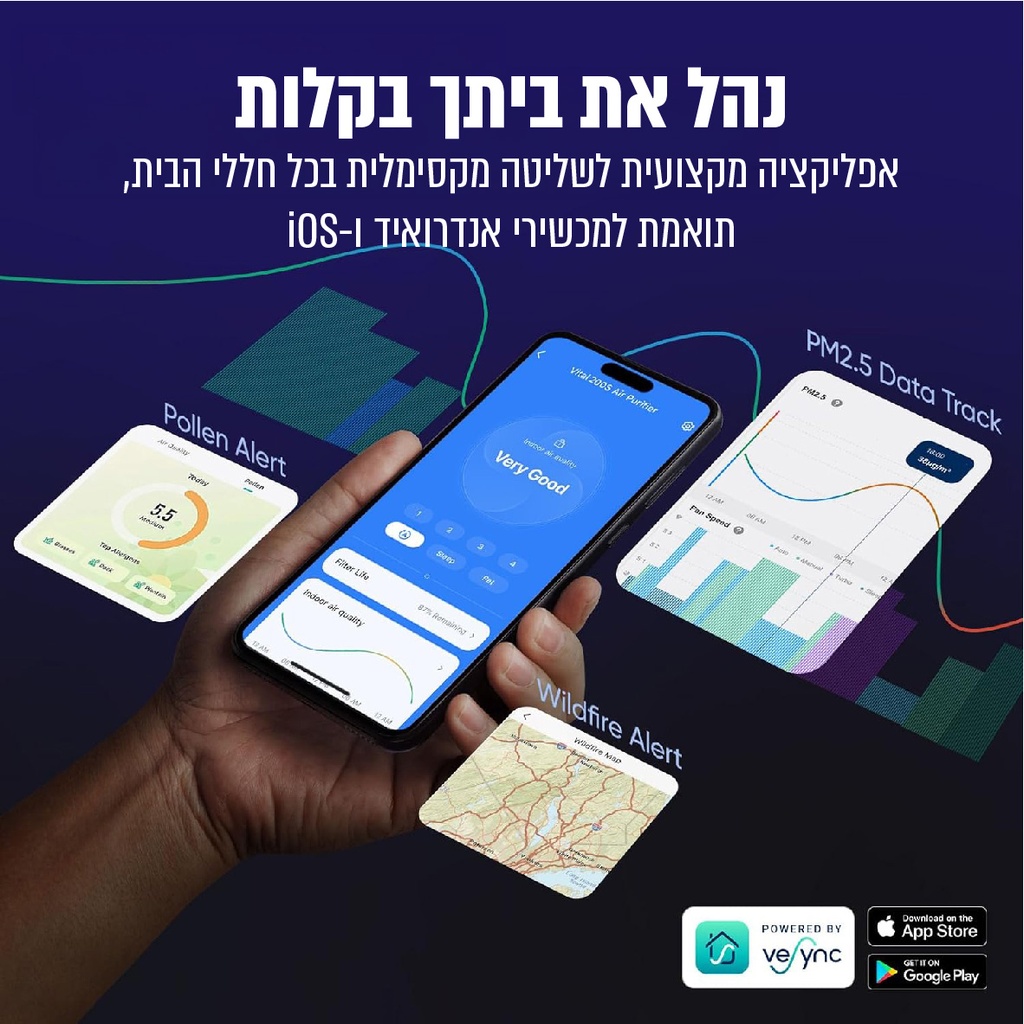 תמונה 4