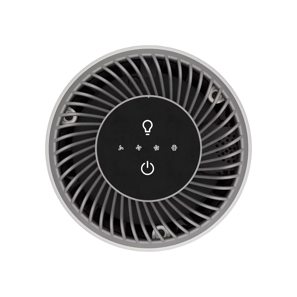תמונה 3