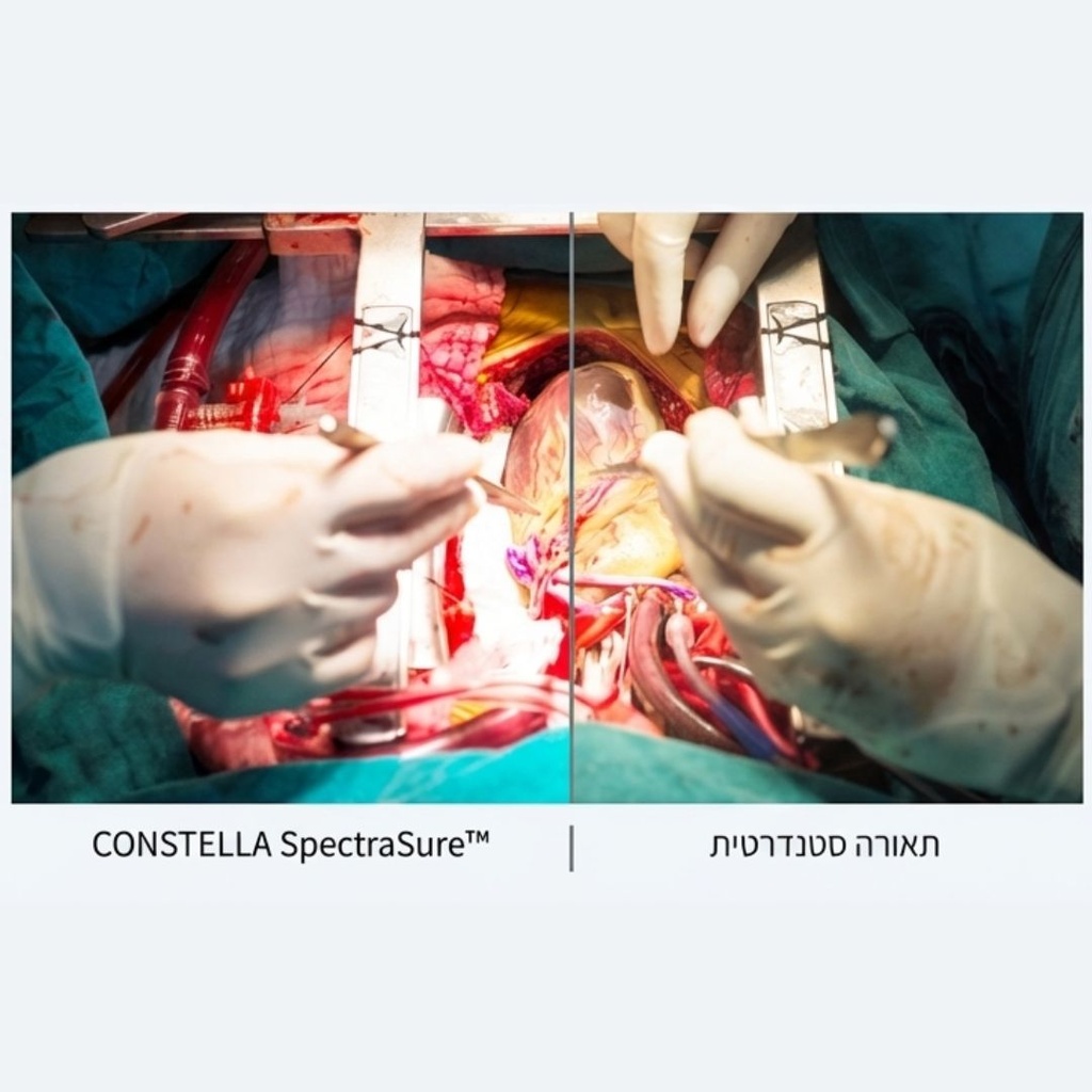 Constella - image_4